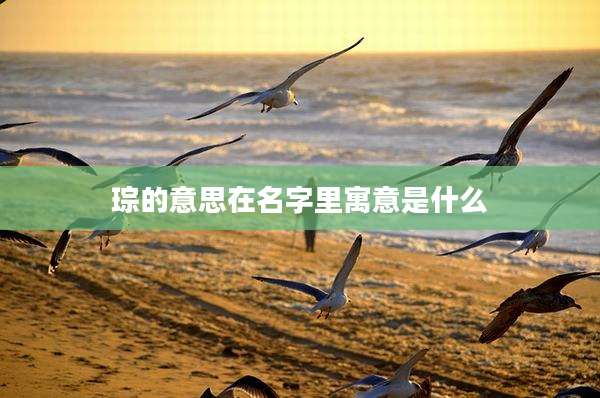 琮的意思在名字里寓意是什么