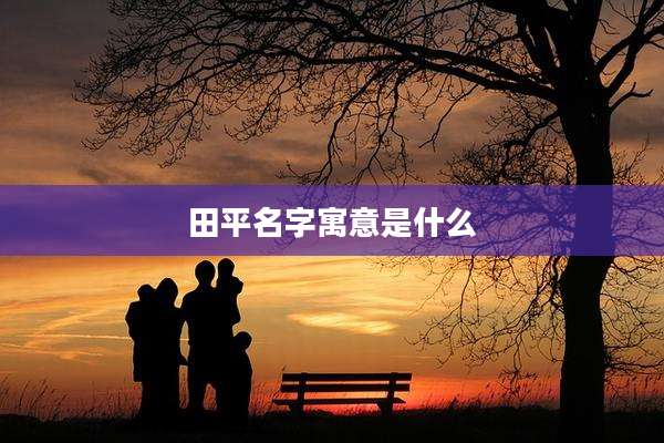田平名字寓意是什么