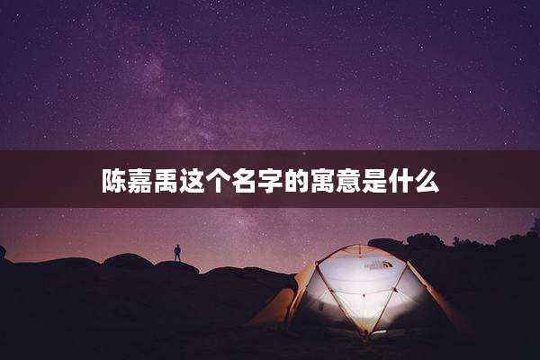 陈嘉禹这个名字的寓意是什么