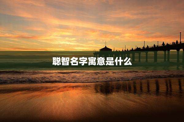 聪智名字寓意是什么
