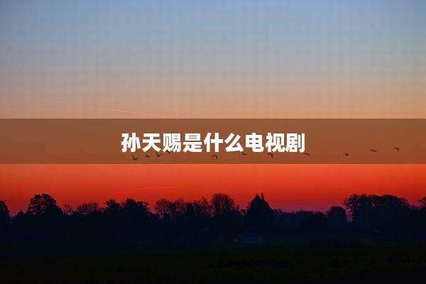 孙天赐是什么电视剧