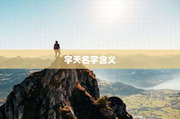 宇天名字含义