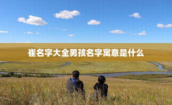 崔名字大全男孩名字寓意是什么