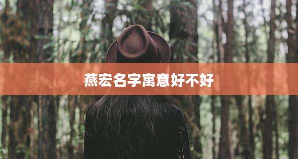 燕宏名字寓意好不好