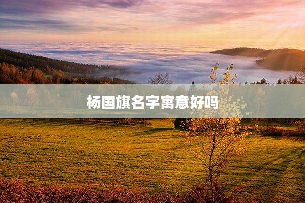 杨国旗名字寓意好吗