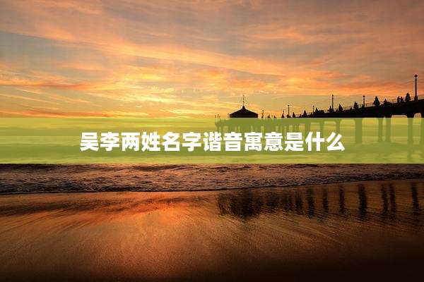 吴李两姓名字谐音寓意是什么