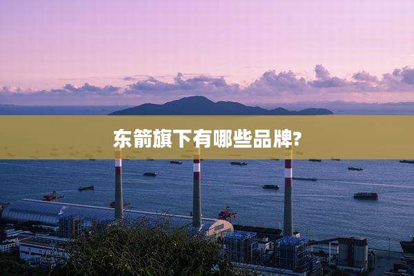 东箭旗下有哪些品牌?