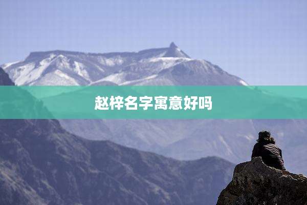 赵梓名字寓意好吗
