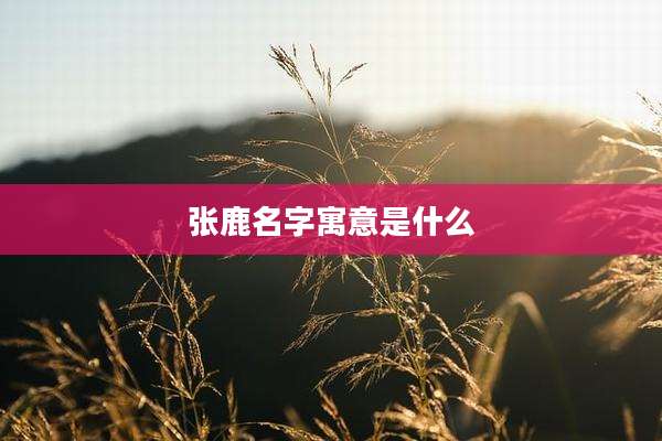 张鹿名字寓意是什么