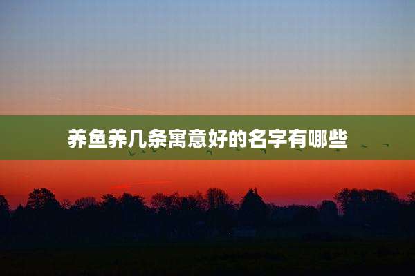 养鱼养几条寓意好的名字有哪些