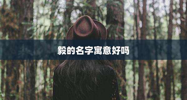 毅的名字寓意好吗
