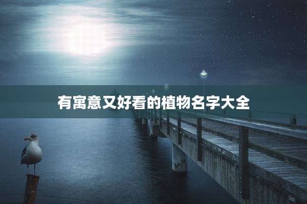 有寓意又好看的植物名字大全