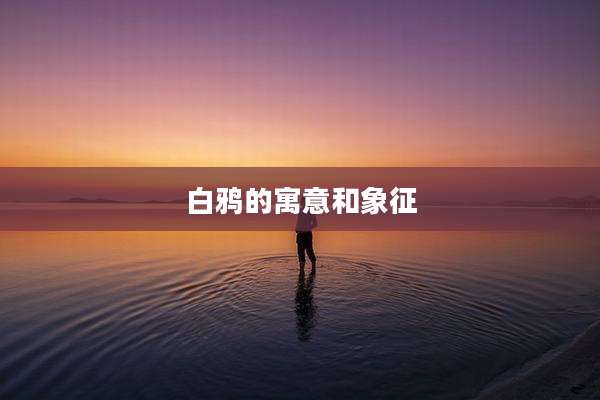 白鸦的寓意和象征