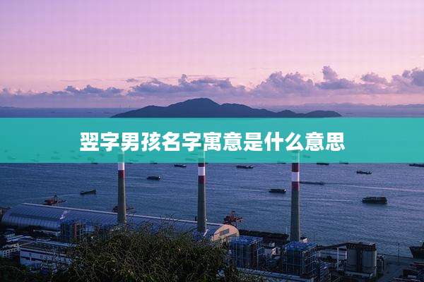 翌字男孩名字寓意是什么意思