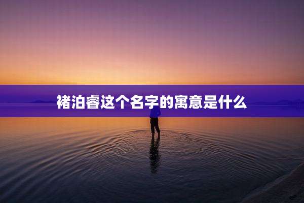 褚泊睿这个名字的寓意是什么