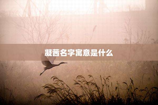 凝茜名字寓意是什么