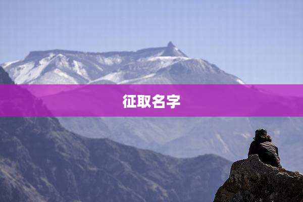 征取名字