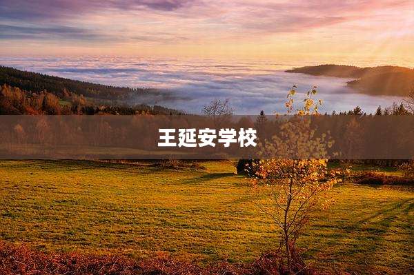 王延安学校