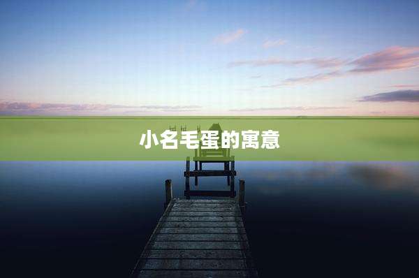 小名毛蛋的寓意