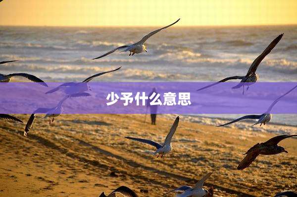 少予什么意思