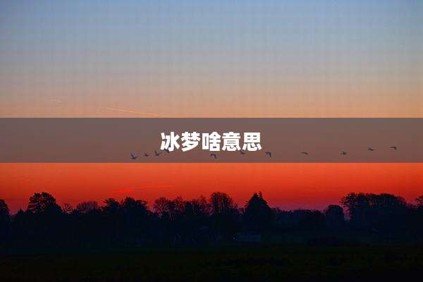 冰梦啥意思