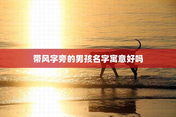 带风字旁的男孩名字寓意好吗