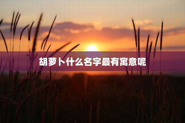 胡萝卜什么名字最有寓意呢