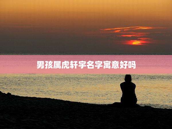 男孩属虎轩宇名字寓意好吗