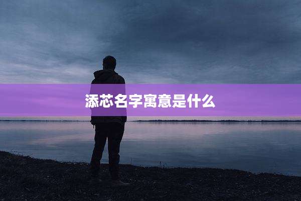 添芯名字寓意是什么