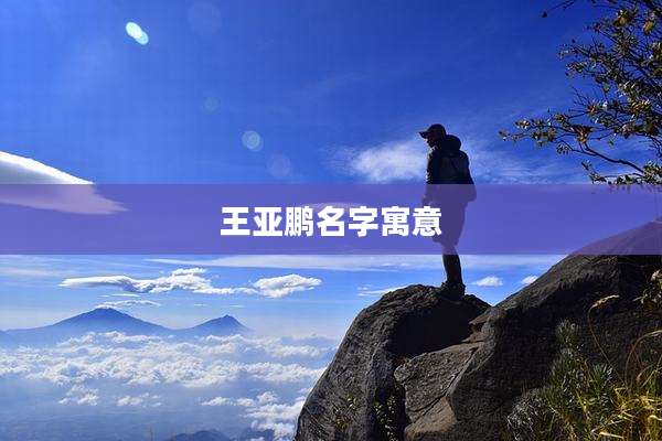 王亚鹏名字寓意