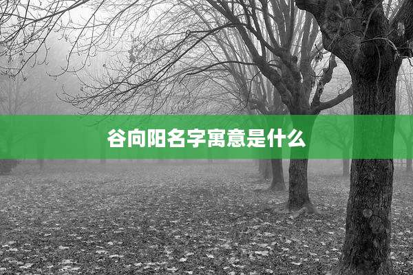 谷向阳名字寓意是什么