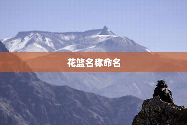 花篮名称命名