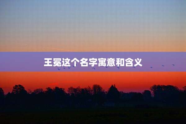 王冕这个名字寓意和含义