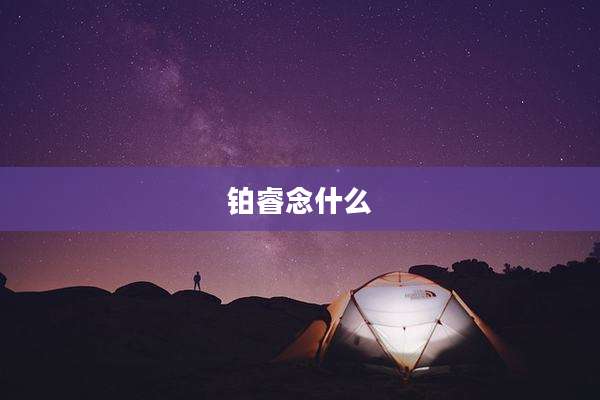 铂睿念什么