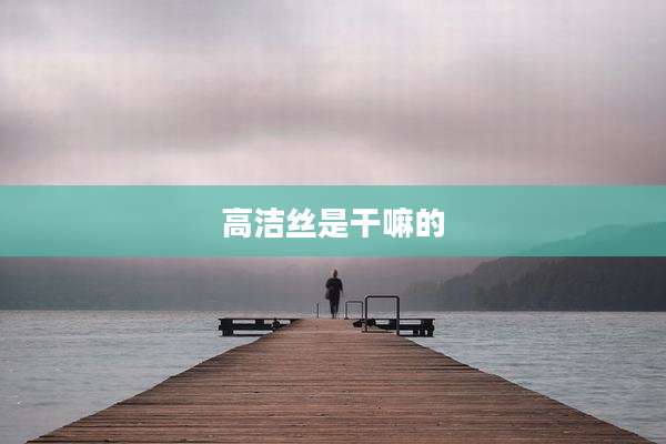 高洁丝是干嘛的