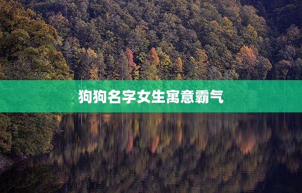 狗狗名字女生寓意霸气