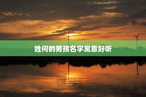 姓何的男孩名字寓意好听