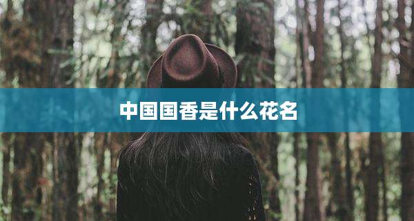 中国国香是什么花名