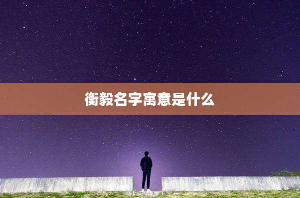 衡毅名字寓意是什么