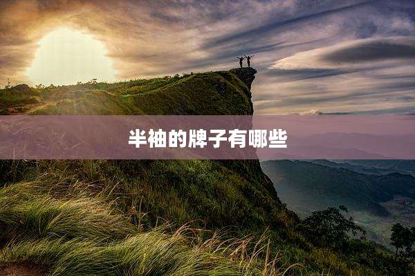 半袖的牌子有哪些