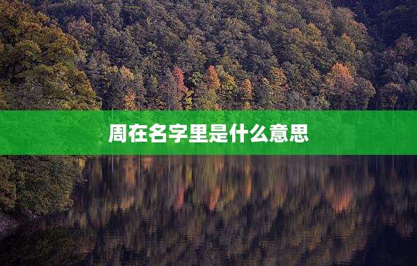 周在名字里是什么意思