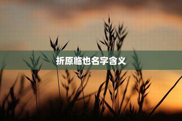 折原临也名字含义