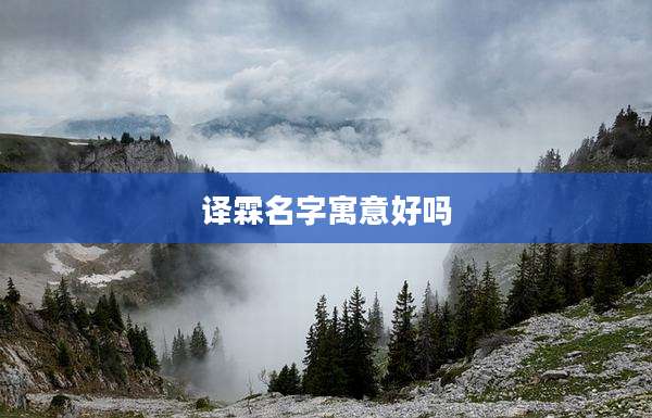译霖名字寓意好吗