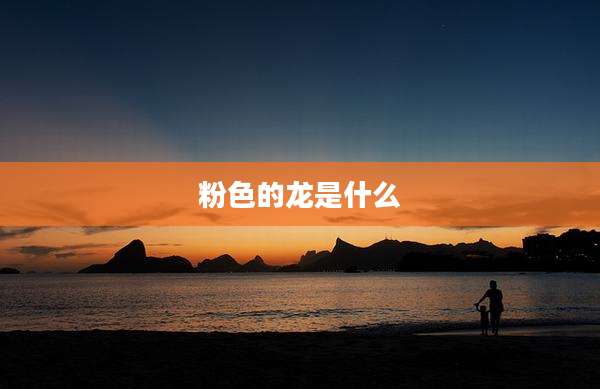 粉色的龙是什么