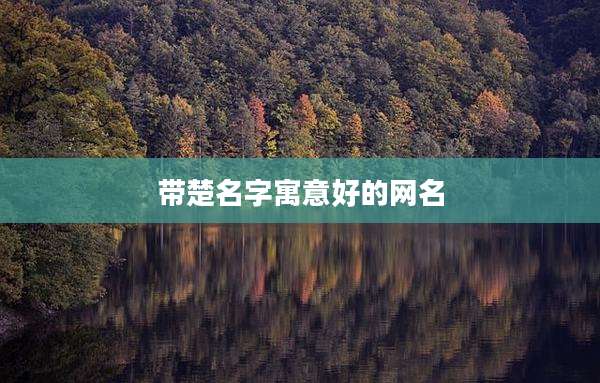 带楚名字寓意好的网名