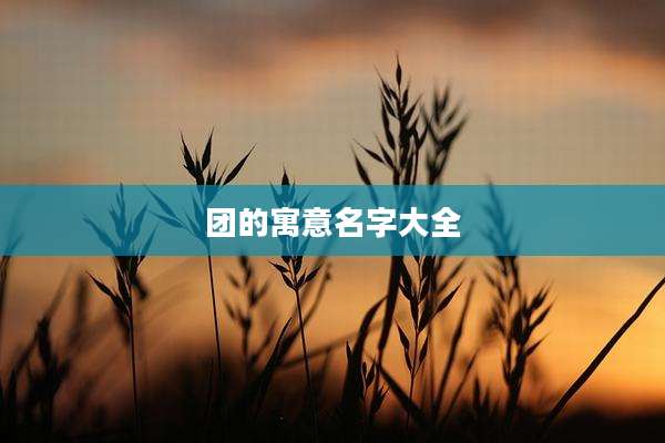 团的寓意名字大全