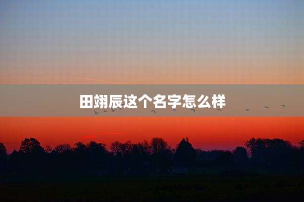 田翊辰这个名字怎么样