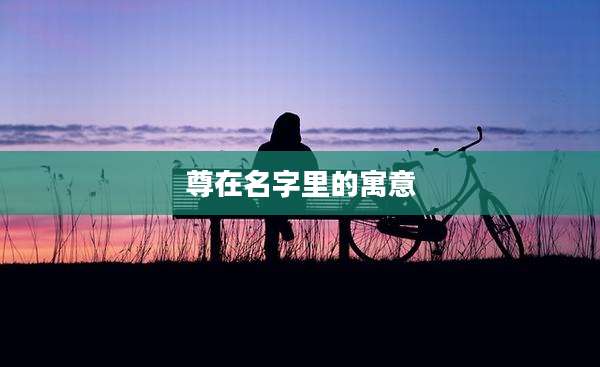 尊在名字里的寓意