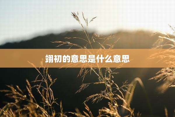 翊初的意思是什么意思