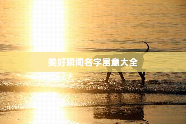 美好瞬间名字寓意大全